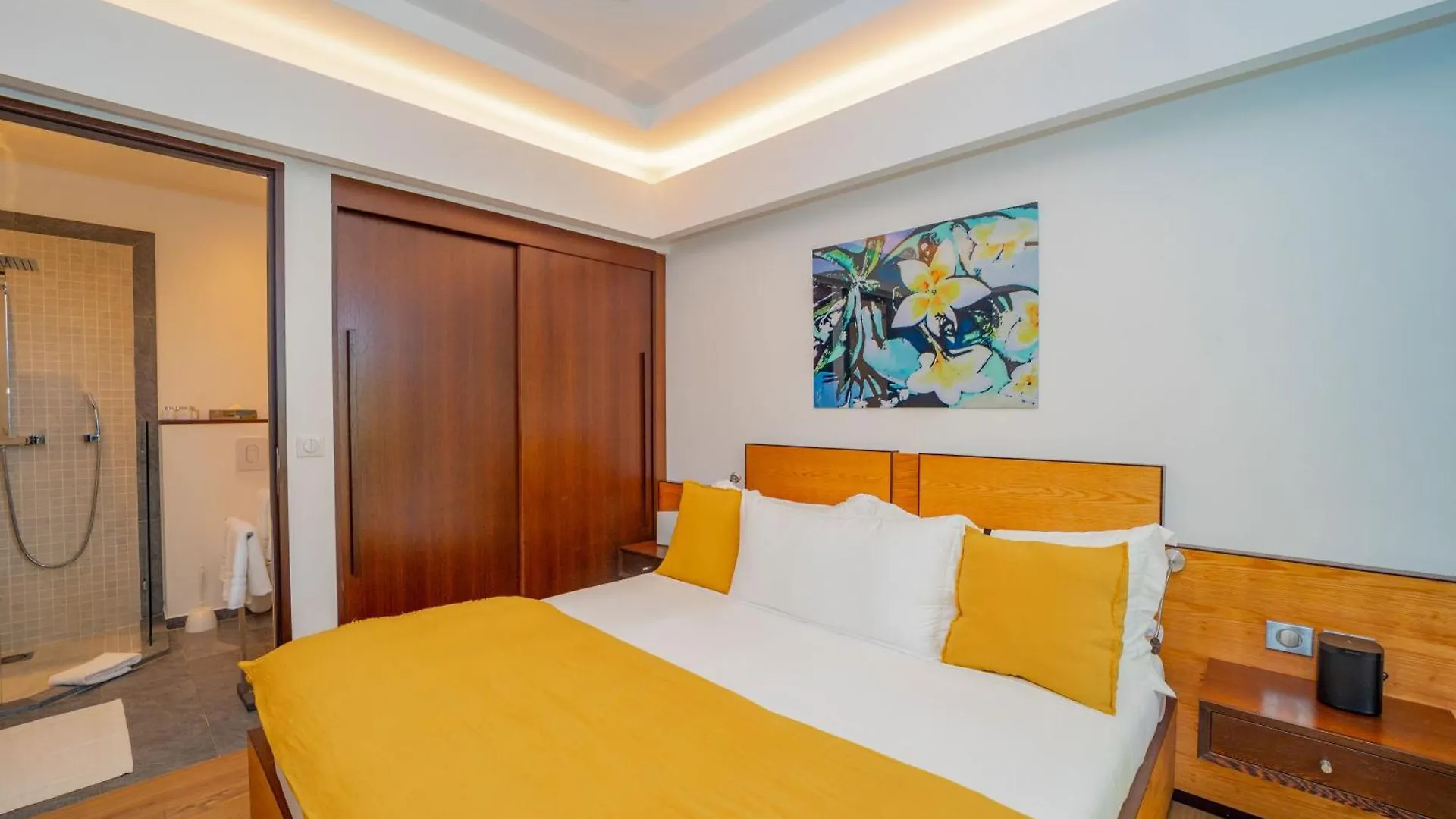 Villa Lenalee Flamands St-Barths St. Barthelemy 0*,  サン・バルテルミー島